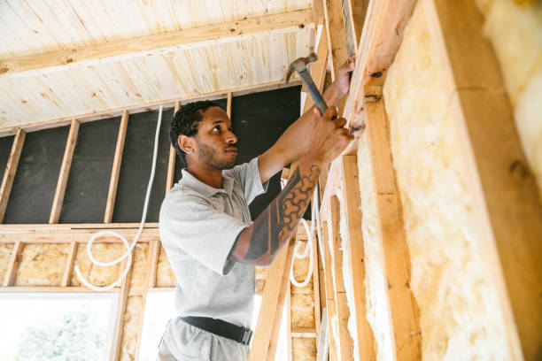 Best Local Insulation Services  in USA